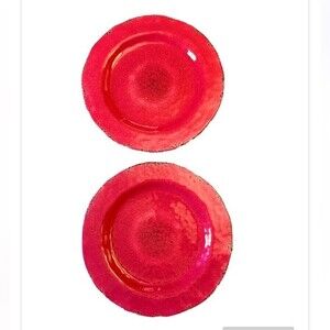 Pier 1 Imports Set of 2 Carmelo Melamine Dinner Plates in Flamingo Pink